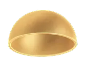 Best Investment Management